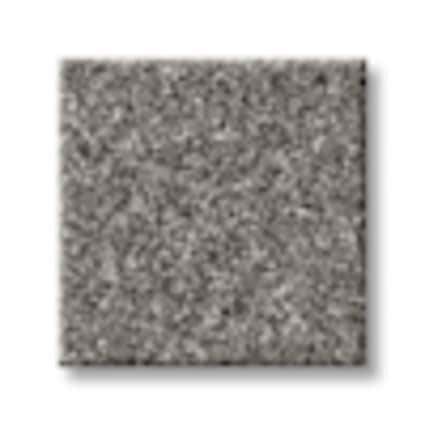 Shaw Astoria Park Rainstorm Texture Carpet with Pet Perfect-Sample